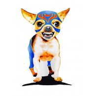 Lucha Libre Chihuahua